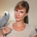 Why Are Millennials Choosing Parrots With Emergency Skills Over Partners?