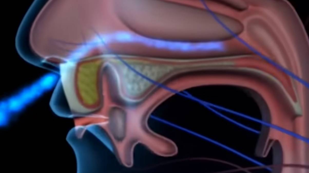 You Won't Believe How Long Alcohol Lurks in Your Body—Scientific Study Reveals Startling Truths