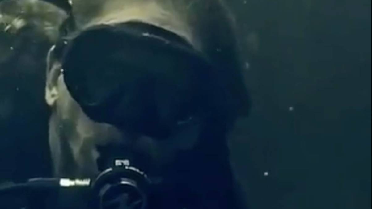 100 Days Beneath the Waves: What Happened to This Man’s Body Will Shock You