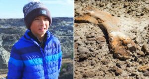 12-Year-Old’s Unexpected Discovery of a 69-Million-Year-Old Dinosaur Fossil Rocks Scientific World