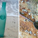 28 Unbelievable Beach Treasures You Won't Believe Were Found Just Beneath the Sand