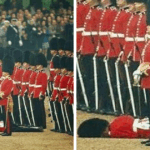 36 Unbelievable Historical Moments Captured on Instagram You’ve Never Seen Before