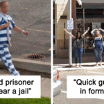 43 Bizarre Google Maps Discoveries That Will Blow Your Mind and Crack You Up