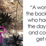 44 Seemingly Normal Photos That Hide Shocking Secrets Behind the Scenes