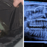 62 Hilarious Moments When Forgetfulness Led to Unbelievable Blunders You Won’t Believe!