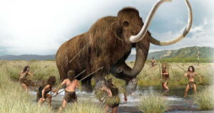 Ancient Mammoth Rib Reveals Mysterious Arrow Strike, Unlocking Secrets of Early Human Hunters!
