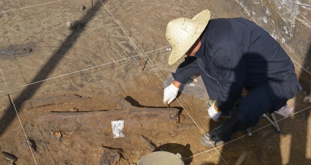 Ancient Mystery Unearthed: 300,000-Year-Old Wooden Tools Found Intact Beneath Chinese Clay