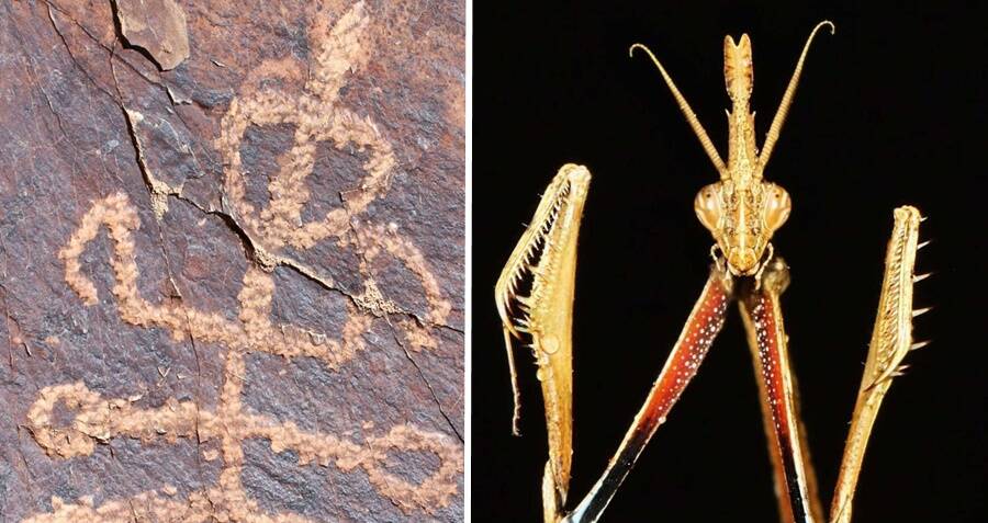 Ancient Mystery Unearthed: Half-Man, Half-Mantis Rock Carving Challenges History in Iran