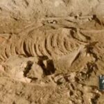 Ancient Ritual Uncovered: Four Donkeys Buried 4,500 Years Ago Beneath Canaanite Ruins Spark Chilling Mysteries