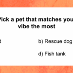 Discover the Surprising Truth About Your Social Energy with Just 25 Questions