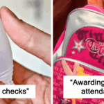 Exposed: 28 Shocking School Practices That Will Make You Question Everything You Knew About Education