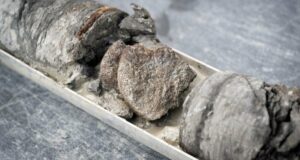 Hidden Beneath Denver Museum’s Parking Lot, Unearthed Dinosaur Bone Could Rewrite History