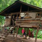 Mysterious Case in Thailand: Why Did This Eight-Year-Old Only Bark to Communicate?