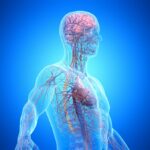 Scientists Reveal Astonishing Limit to Human Lifespan That Could Change Everything We Know About Aging