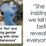 Shocking Drama Unfolds as MIL's Dark Side Emerges at Innocent Gender Reveal Party