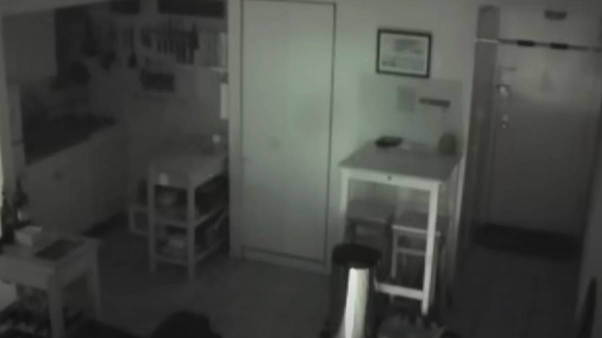 Shocking Footage Reveals Unbelievable Culprit Behind Mysterious Food Disappearances in Home