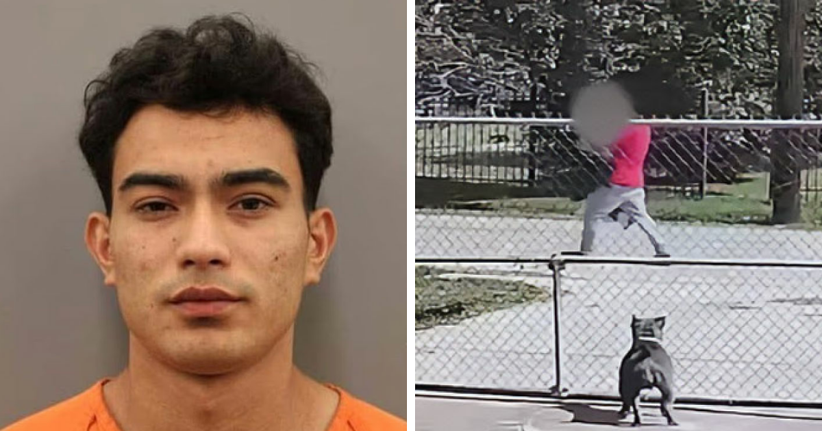 Shocking Video Reveals Desperate Struggle of Trafficking Victim's Heart-Stopping Pursuit Back to Hell