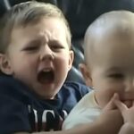 The Shocking Fortune Behind ‘Charlie Bit My Finger’ Revealed—You Won’t Believe What Happened Before the Auction