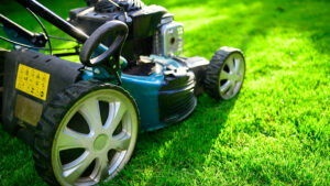 The Surprising Lawn Mowing Mistake You’ve Been Making All Along—And How to Fix It Tonight