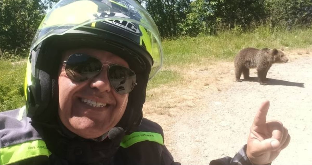 Tragic Twist: Italian Tourist’s Selfie with Bears Turns Fatal Just 24 Hours Later