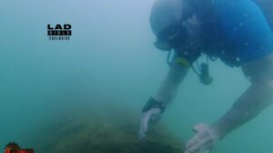 Unearthed Secrets: Archaeologist Reveals Stunning Evidence That Could Finally Locate the Lost City of Atlantis