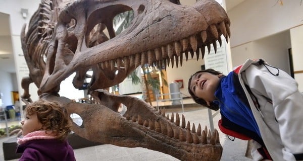 Unlocking the Devastating Power: Just How Ferocious Was a T. Rex's Bite?