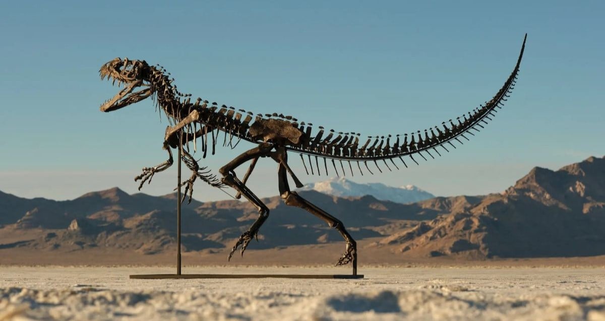 Unveiled Mystery: 150-Million-Year-Old Ceratosaurus Skeleton Fetches Jaw-Dropping $30.5 Million at Auction