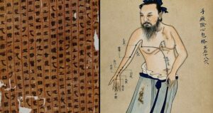 Unveiling Secrets: The 2,200-Year-Old Chinese Text That Challenges Our Understanding of Human Anatomy History