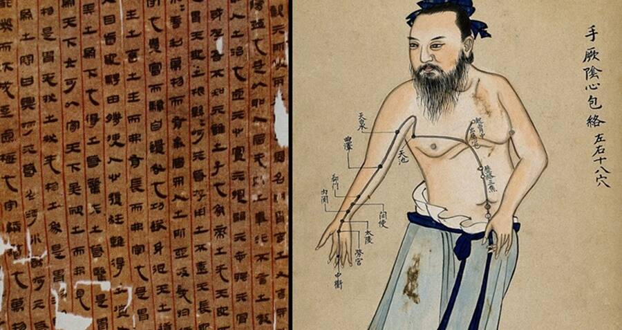 Unveiling Secrets: The 2,200-Year-Old Chinese Text That Challenges Our Understanding of Human Anatomy History