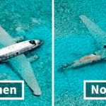 You Won’t Believe How These Iconic Scenes Transformed Over Time—40 Stunning Then and Now Photos Revealed