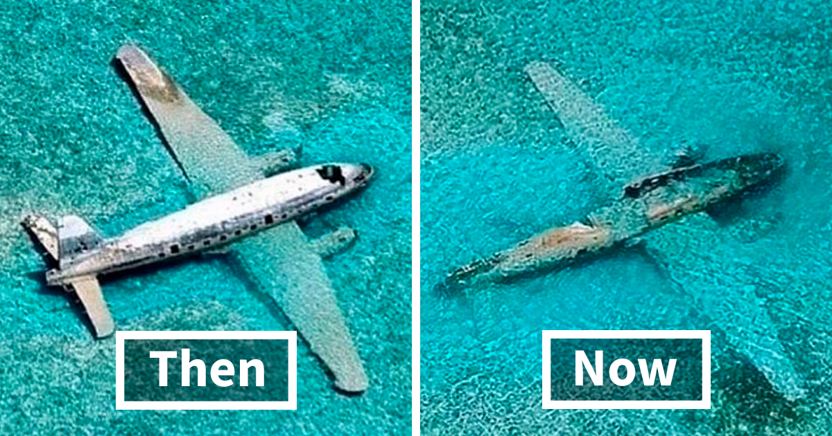 You Won’t Believe How These Iconic Scenes Transformed Over Time—40 Stunning Then and Now Photos Revealed