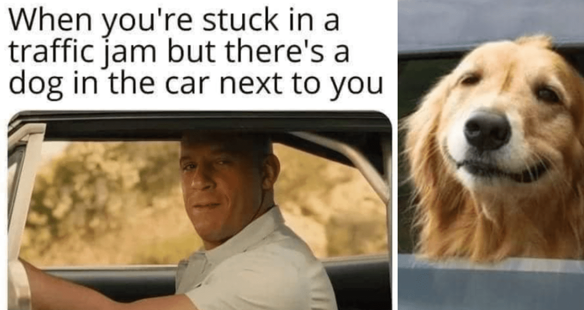 10 Mind-Blowing Tumblr Posts You Won't Believe You Haven't Seen Before