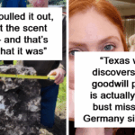 45 Mind-Blowing Facts You Never Knew Existed—Prepare to Be Amazed!