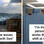 46 Spine-Chilling Moments Caught on Camera at Work That You Won’t Believe Are Real