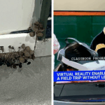 79 Shocking School Photos That Reveal the Untold Reality Behind Education Inequality