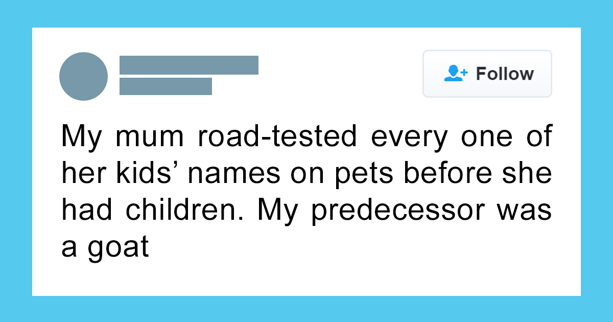 85 Hilariously Bizarre Sentences That Will Make You Wonder What They Were Thinking