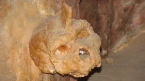 Ancient Cave Skull Defies Science: Not Human, Not Known—What Could It Be?