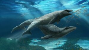 Ancient Secret Unearthed: 26 Million-Year-Old Discovery Hidden Beneath Australian Seabed Raises New Mysteries
