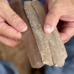 Ancient Secrets Revealed: Inside the 5,500-Year-Old Canaanite Blade Workshop Unearthed in Southern Israel
