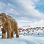 Billionaire’s Bold Quest to Revive Woolly Mammoth Sparks Controversy and Wonder