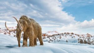 Billionaire’s Bold Quest to Revive Woolly Mammoth Sparks Controversy and Wonder