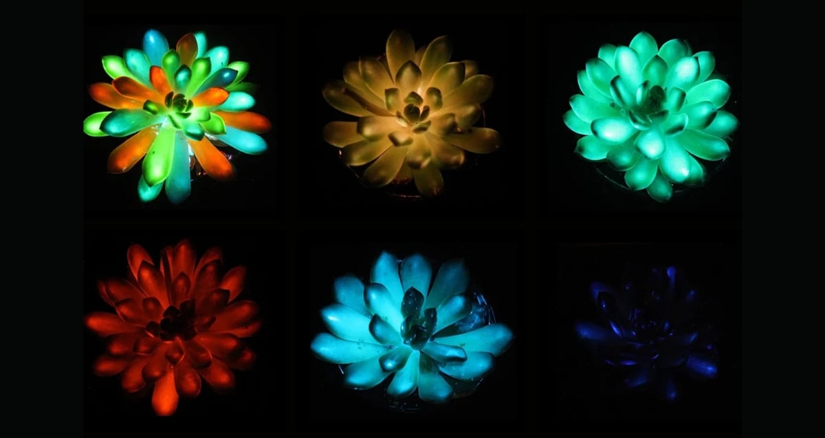 Chinese Scientists Unveil Living Glow-In-The-Dark Plants That Change Colors—A Botanical Breakthrough or Science Fiction?