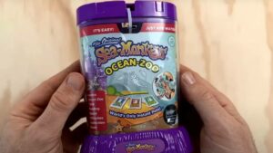 Microscopic Mystery: What This Man Found Inside Sea Monkeys Will Leave You Speechless