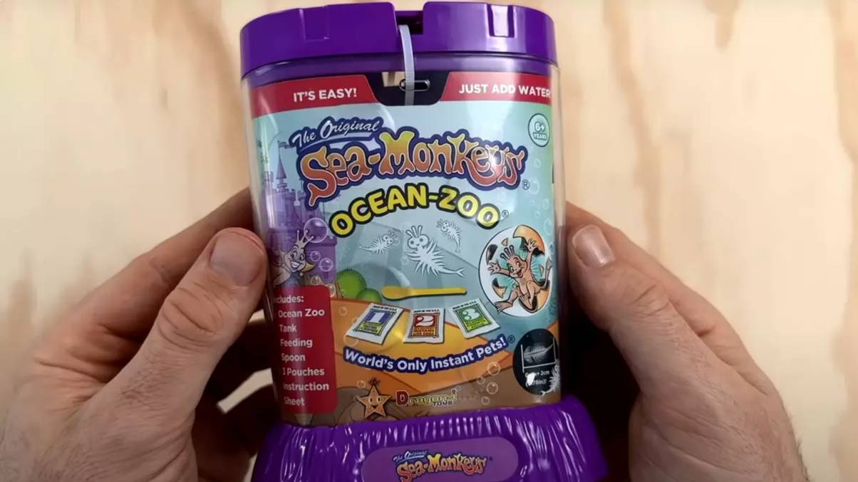 Microscopic Mystery: What This Man Found Inside Sea Monkeys Will Leave You Speechless