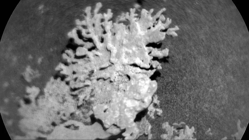 NASA's Curiosity Rover Unveils Astonishing Images that Challenge Our Understanding of Mars Forever