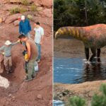 Scientists Uncover Mysterious 95-Million-Year-Old Plant-Eating Dinosaur That Could Rewrite Prehistoric History