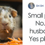Shocking New Zoo Program Invites You to Donate Pets—And Maybe Your In-Law!