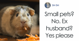 Shocking New Zoo Program Invites You to Donate Pets—And Maybe Your In-Law!