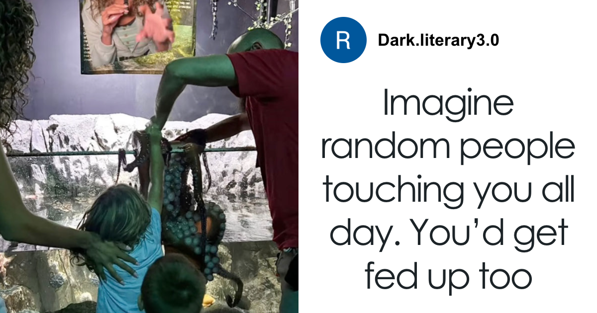 Terrifying Encounter at Aquarium: Curious Octopus Clings to Child, Leaving Mystery Behind Bruises