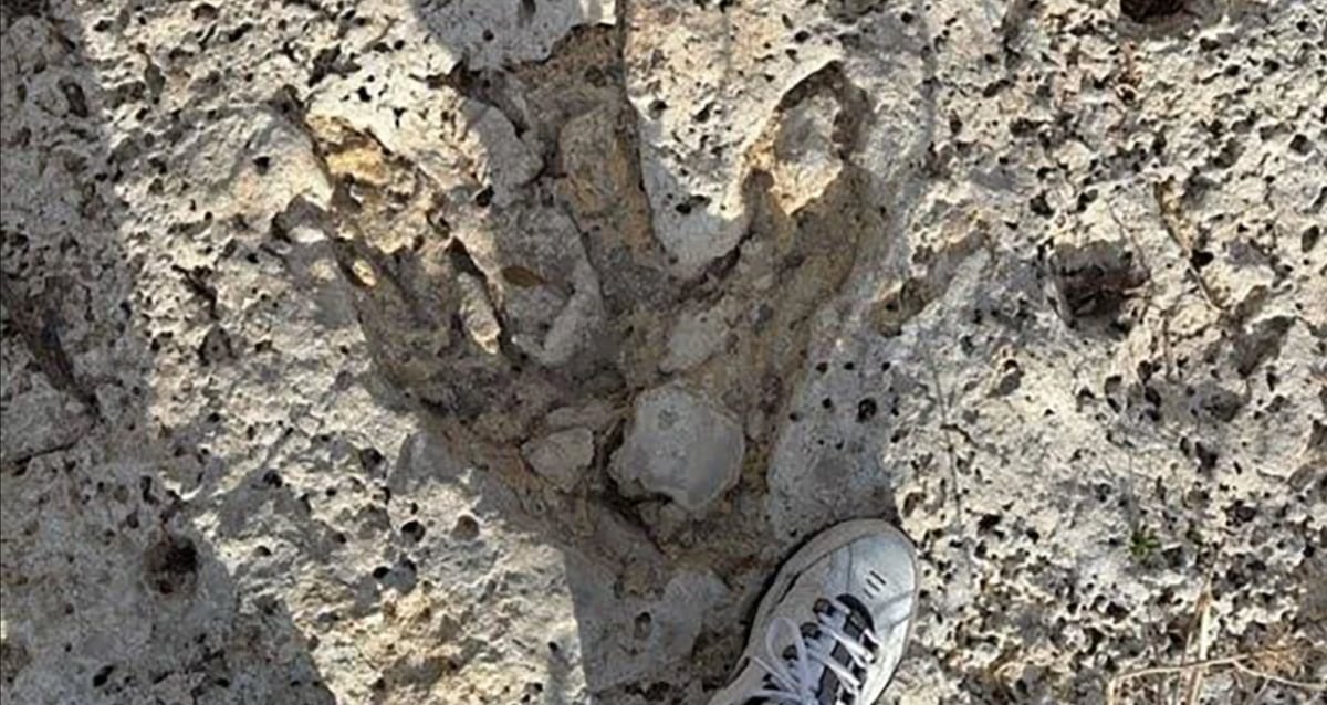 Texas Flood Volunteer Unearths Mysterious 35-Foot Dinosaur Tracks Hidden for Millions of Years